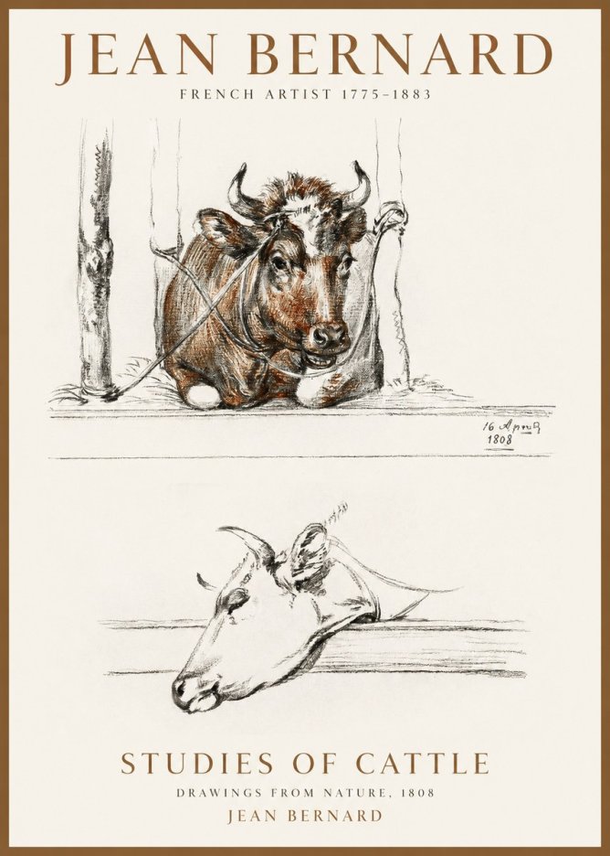 Jean Bernard Studies of Cattle III No1 - Plakat