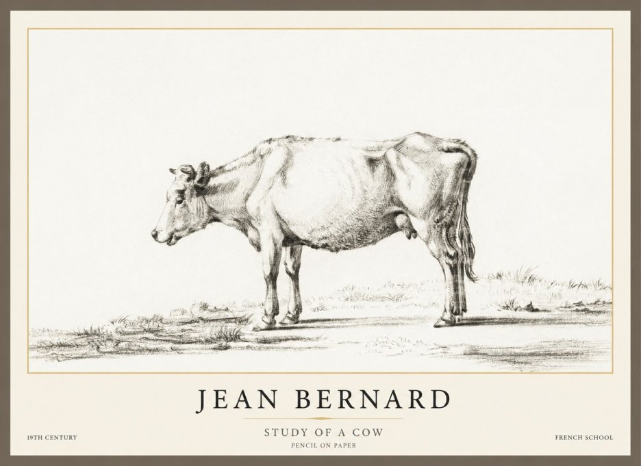 Jean Bernard Study of a Cow XI No1 - Plakat