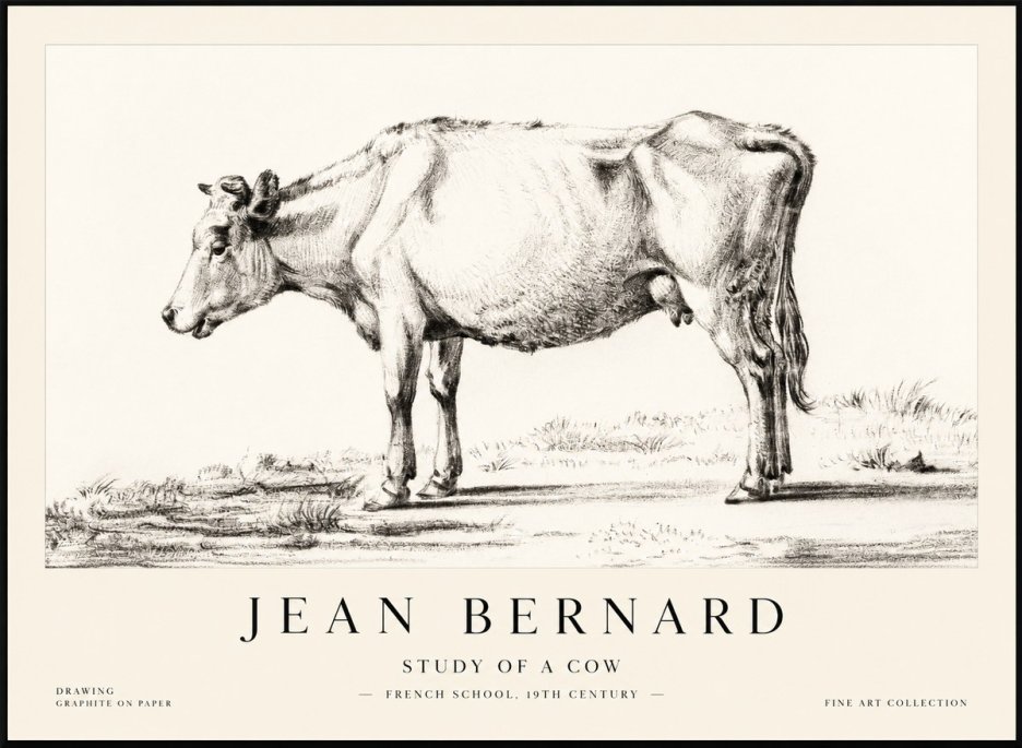 Jean Bernard Study of a Cow XI No2 - Plakat