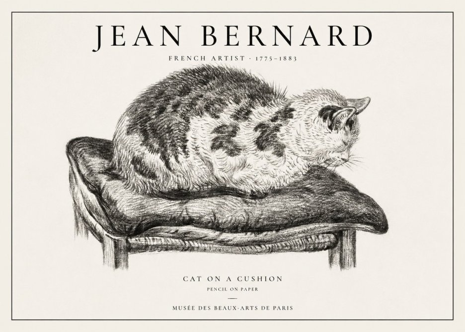 Jean Bernard Cat on a Cushion No1 - Plakat