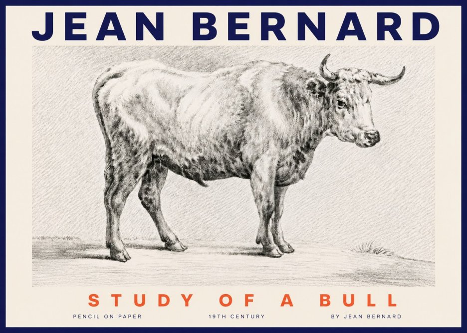 Jean Bernard Study of a Bull IV No4 - Plakat