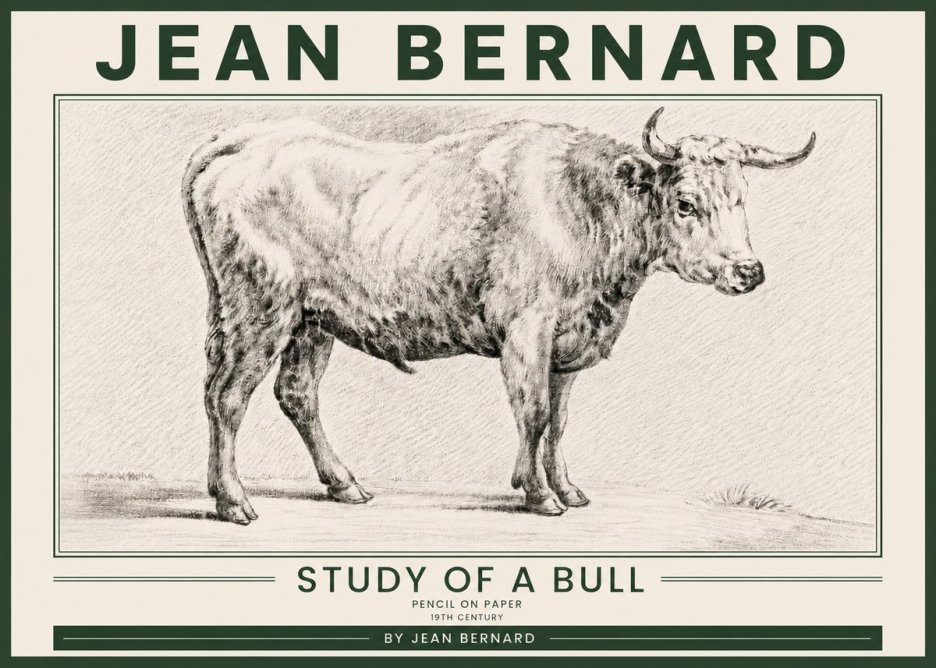 Jean Bernard Study of a Bull IV No5 - Plakat