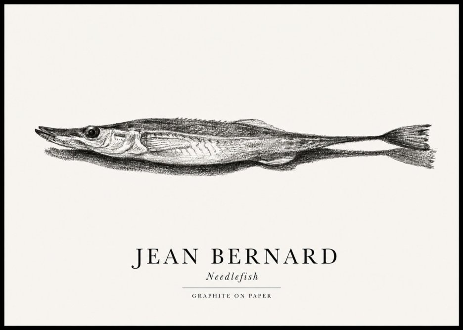 Jean Bernard Needlefish No1 - Plakat