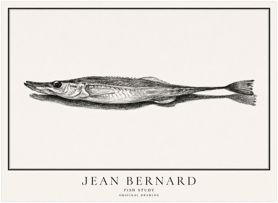 Jean Bernard Needlefish No5 - Plakat