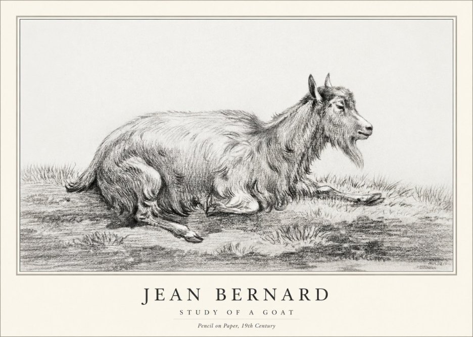 Jean Bernard Study of a Goat V No1 - Plakat