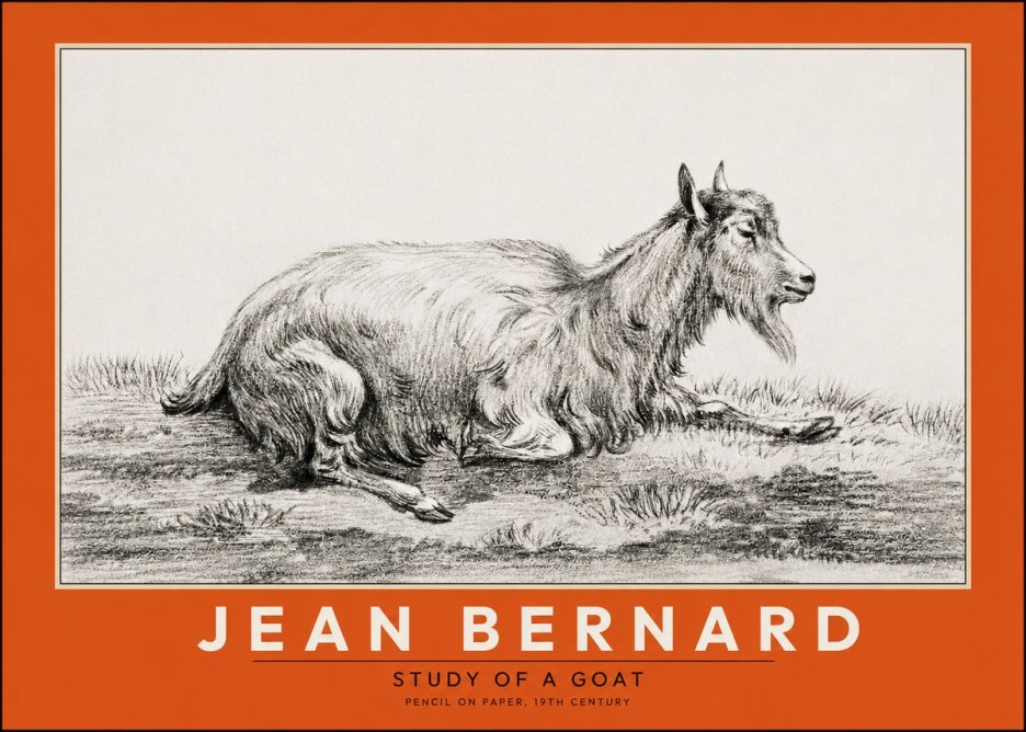 Jean Bernard Study of a Goat V No2 - Plakat