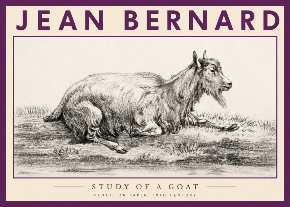 Jean Bernard Study of a Goat V No3 - Plakat