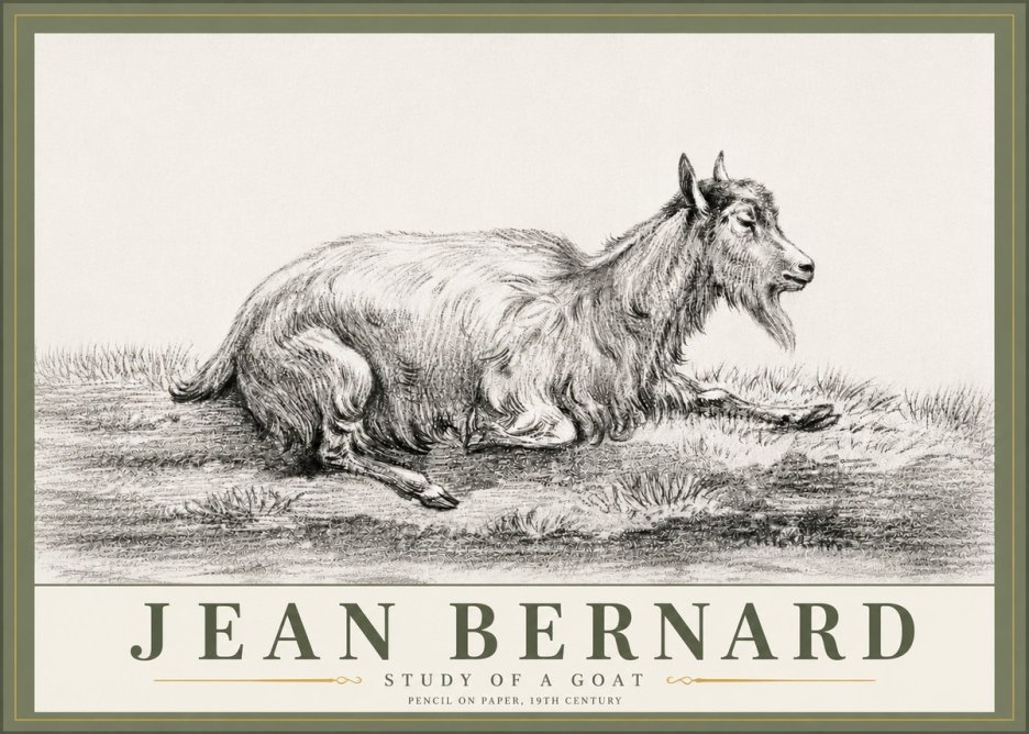 Jean Bernard Study of a Goat V No6 - Plakat