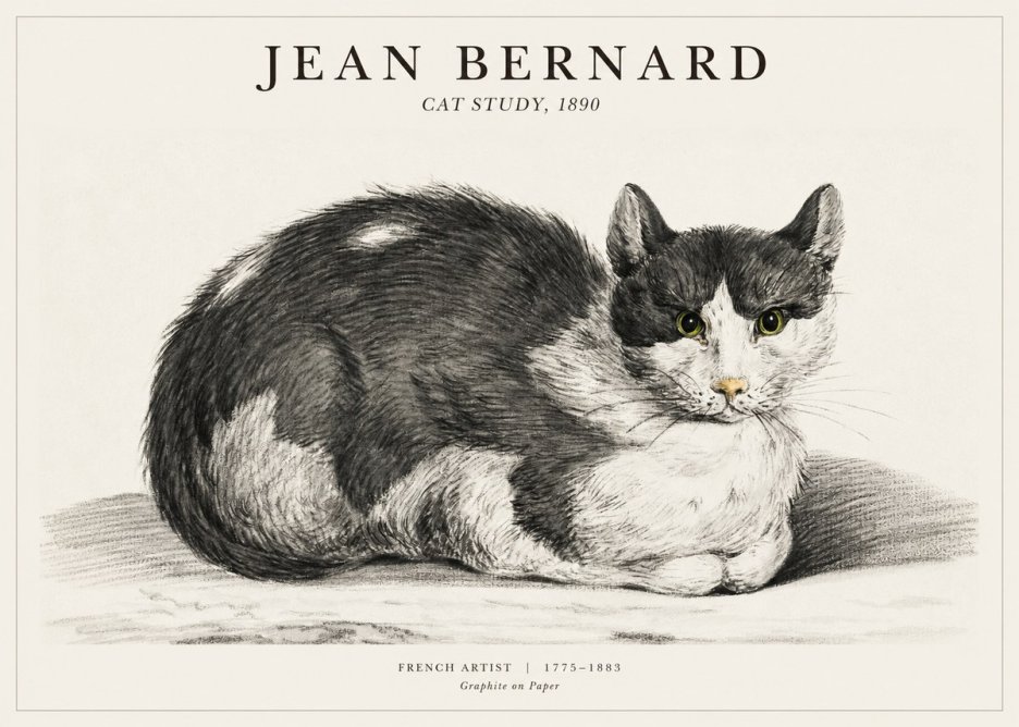 Jean Bernard Cat Resting No3 - Plakat