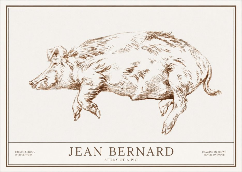 Jean Bernard Study of a Pig II No1 - Plakat