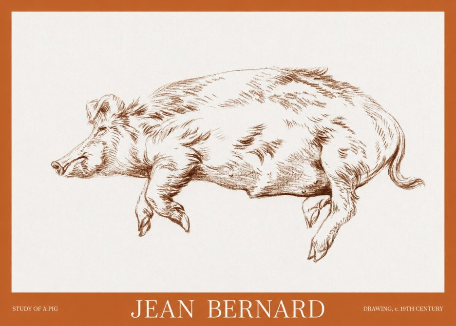 Jean Bernard Study of a Pig II No6 - Plakat