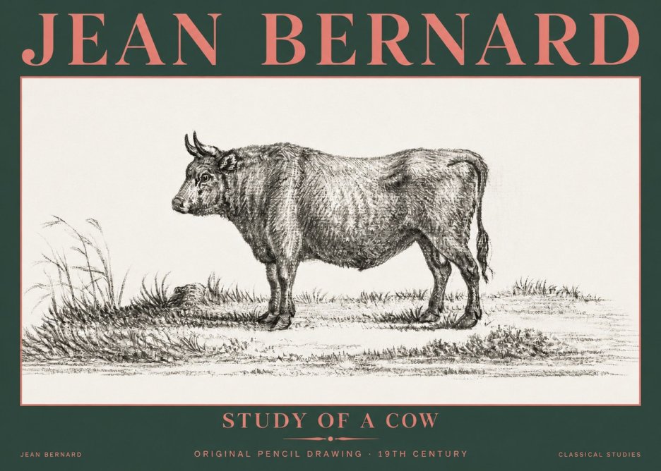 Jean Bernard Study of a Cow XIII No5 - Plakat