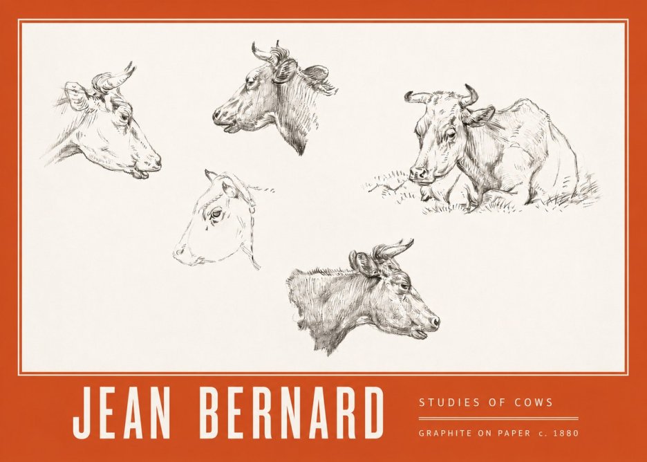 Jean Bernard Studies of Cows I No3 - Plakat