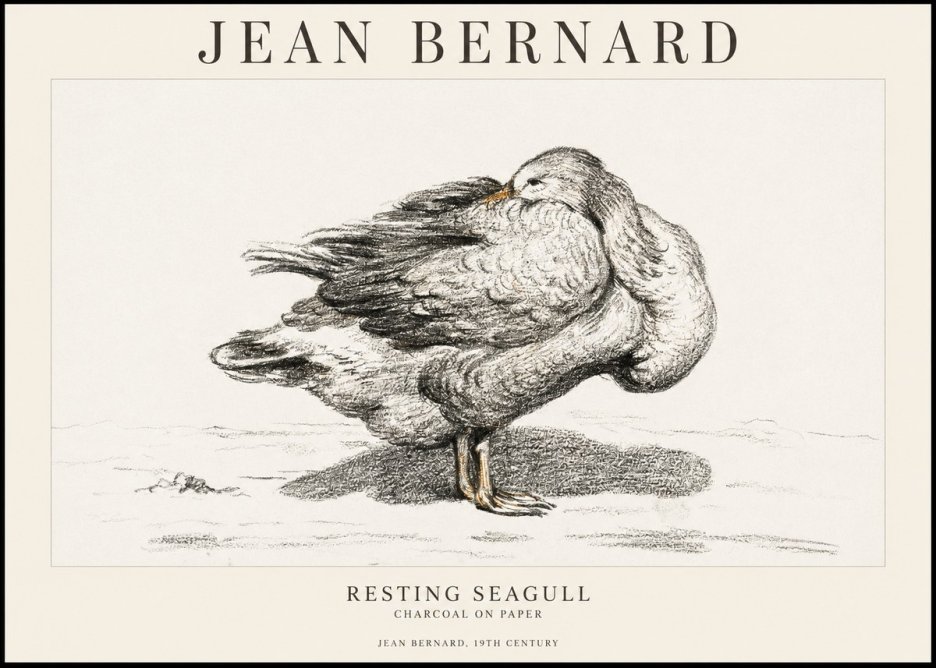 Jean Bernard Resting Seagull No1 - Plakat