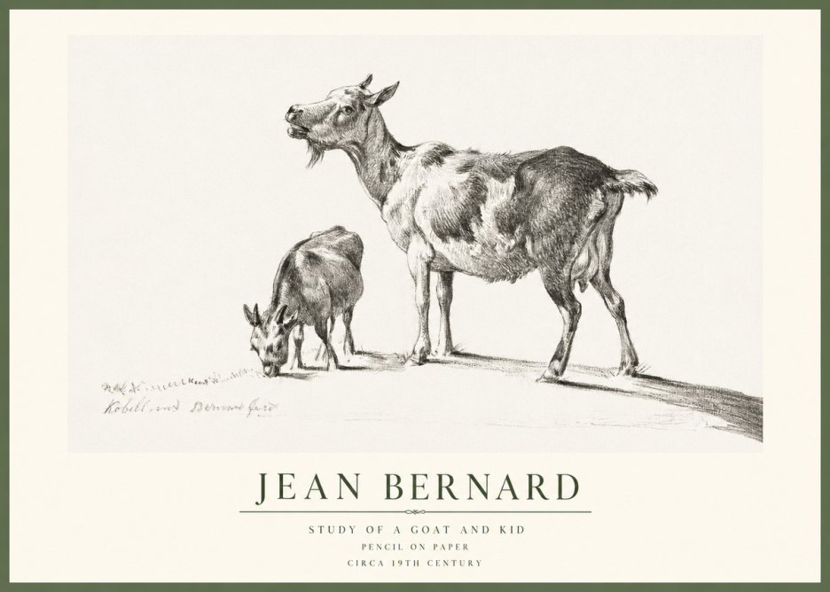 Jean Bernard Study of a Goat and Kid No1 - Plakat