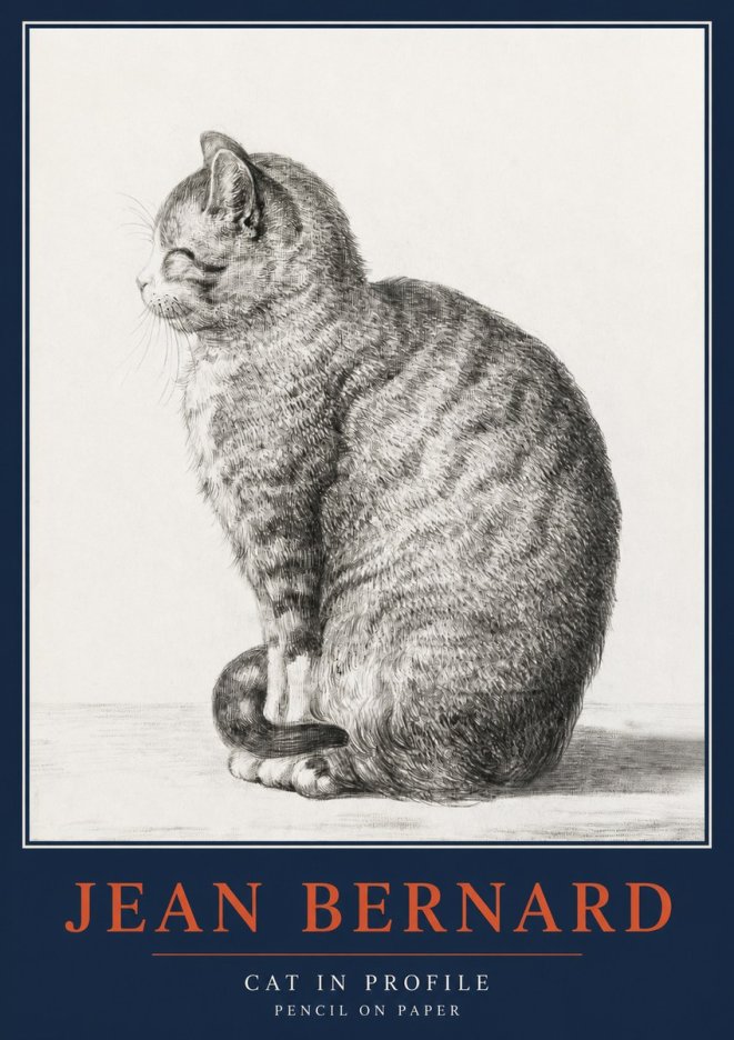 Jean Bernard Cat in Profile No2 - Plakat