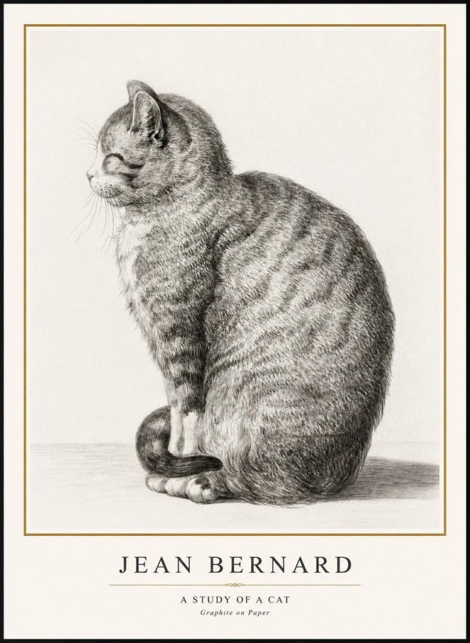 Jean Bernard Cat in Profile No3 - Plakat