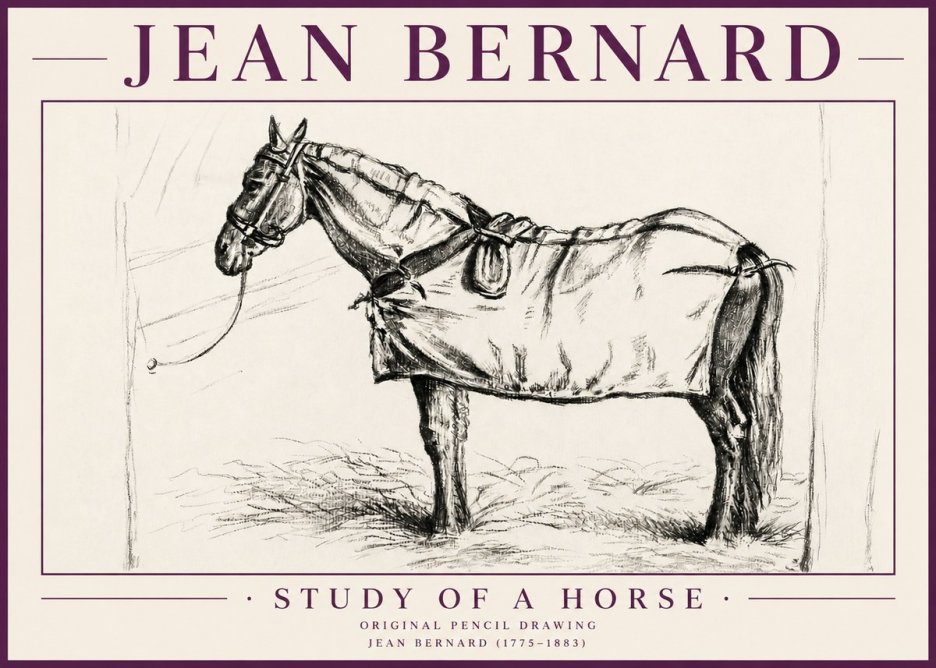 Jean Bernard Study of a Horse XI No4 - Plakat
