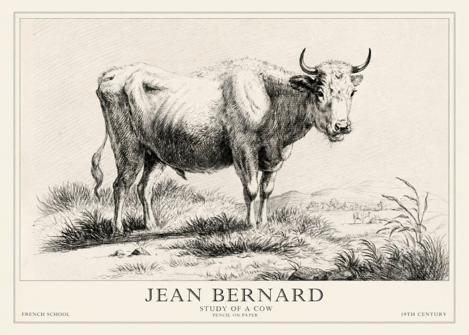 Jean Bernard Study of a Cow XVI No2 - Plakat