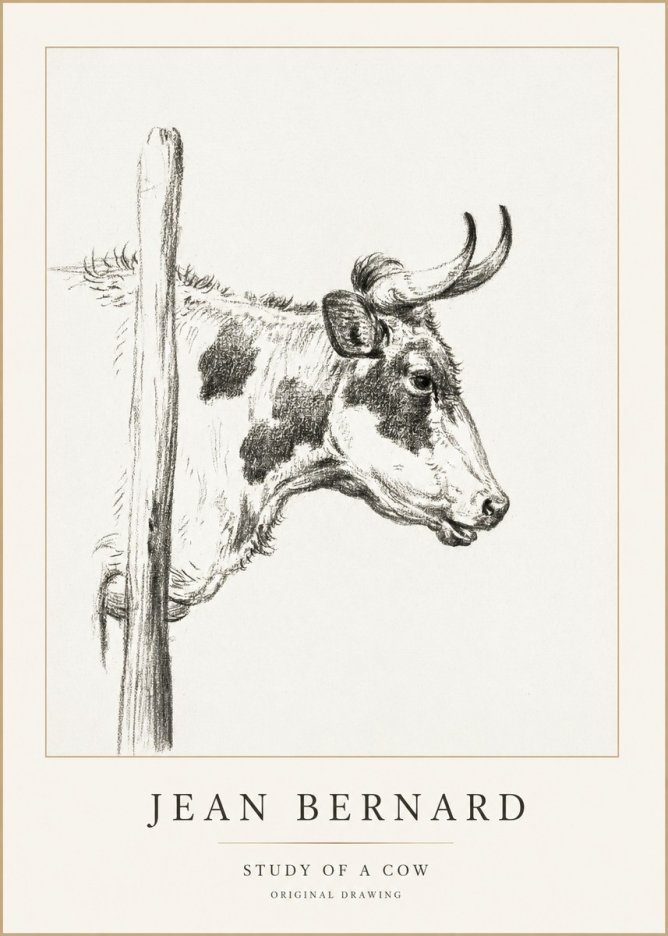 Jean Bernard Study of a Cow XVII No1 - Plakat