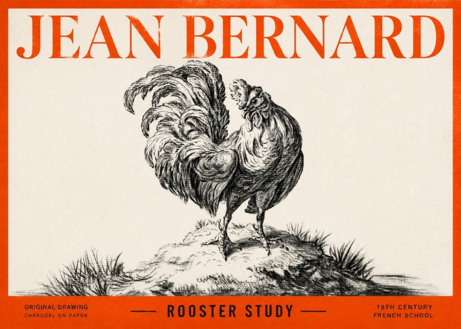Jean Bernard Study of a Rooster No3 - Plakat