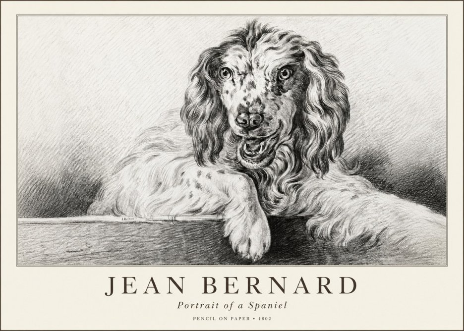Jean Bernard Portrait of a Spaniel No1 - Plakat