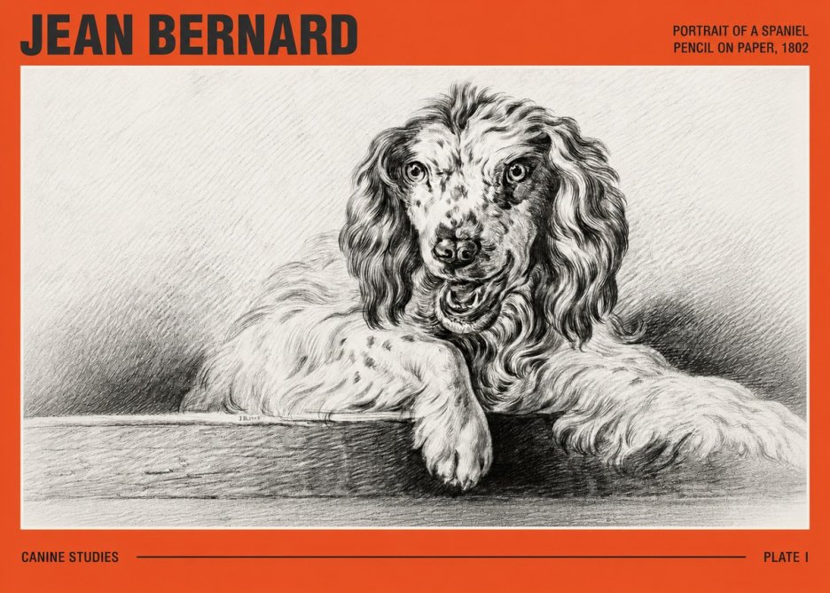 Jean Bernard Portrait of a Spaniel No3 - Plakat