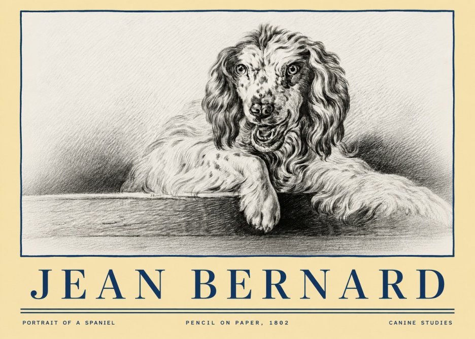 Jean Bernard Portrait of a Spaniel No4 - Plakat