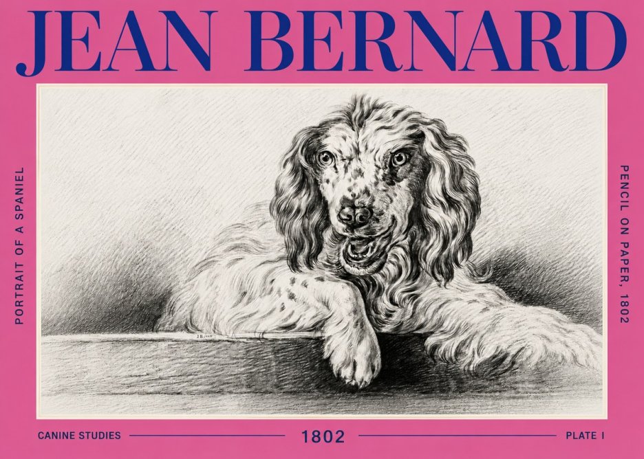 Jean Bernard Portrait of a Spaniel No6 - Plakat