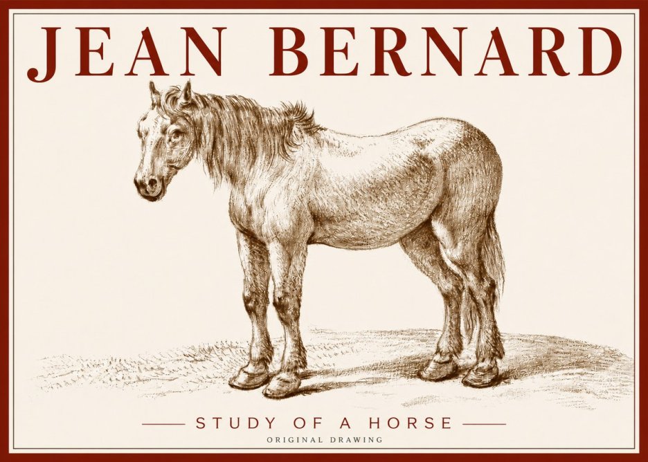 Jean Bernard Study of a Horse XIV No4 - Plakat