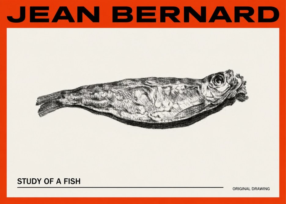 Jean Bernard Study of a Fish V No2 - Plakat