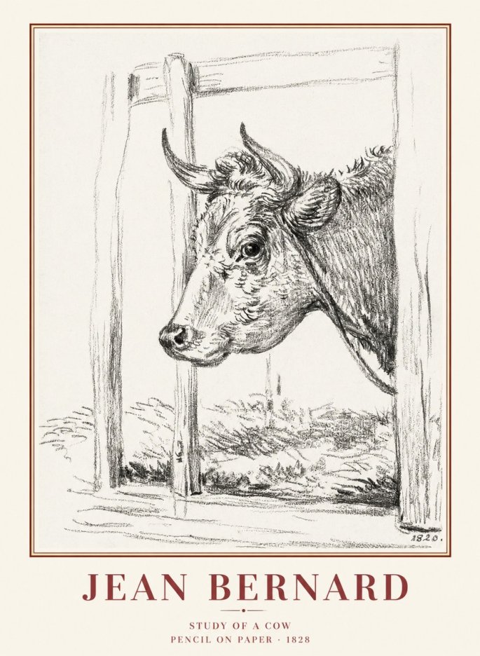 Jean Bernard Study of a Cow XVIII No1 - Plakat