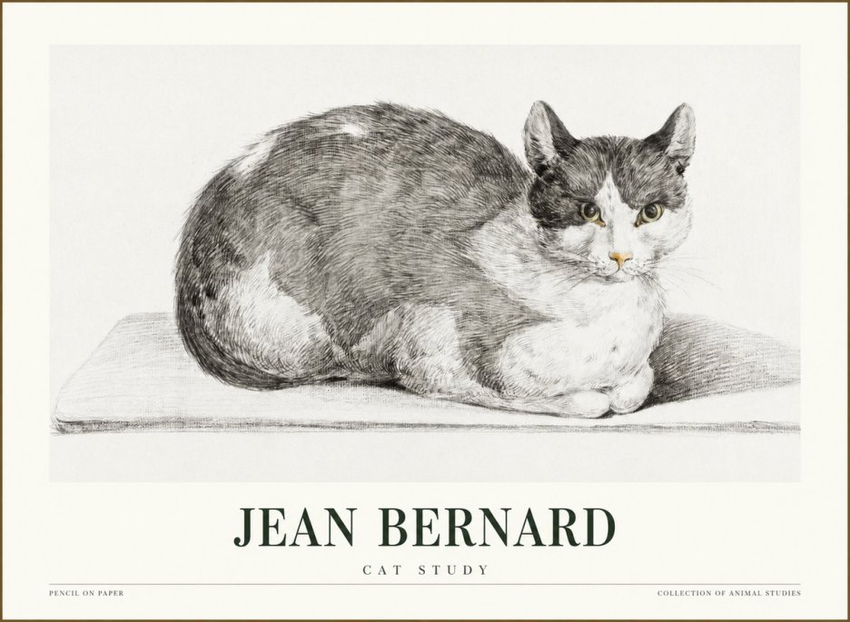 Jean Bernard Cat Study XI No1 - Plakat