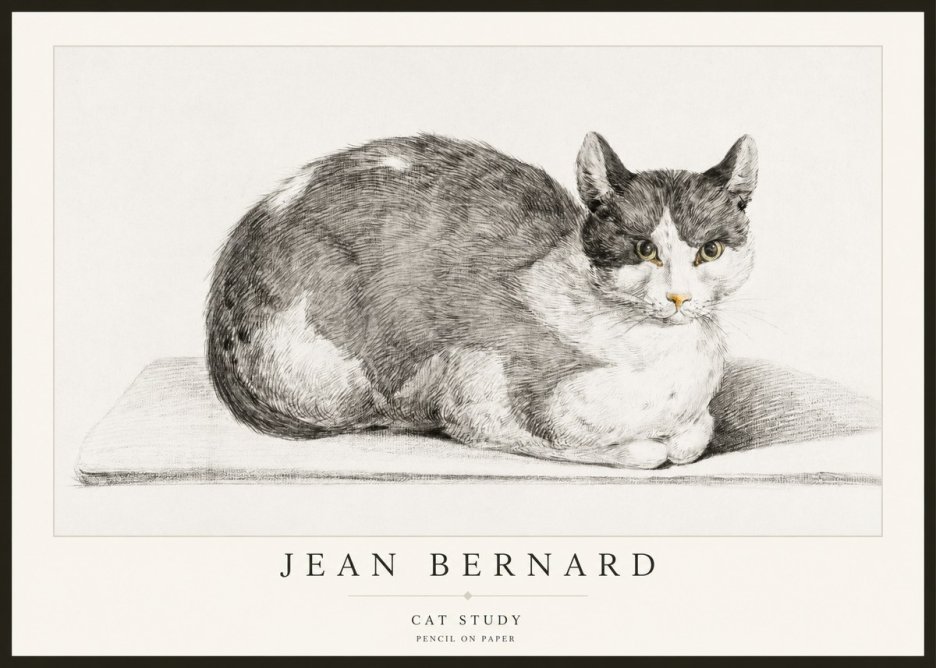 Jean Bernard Cat Study XI No2 - Plakat