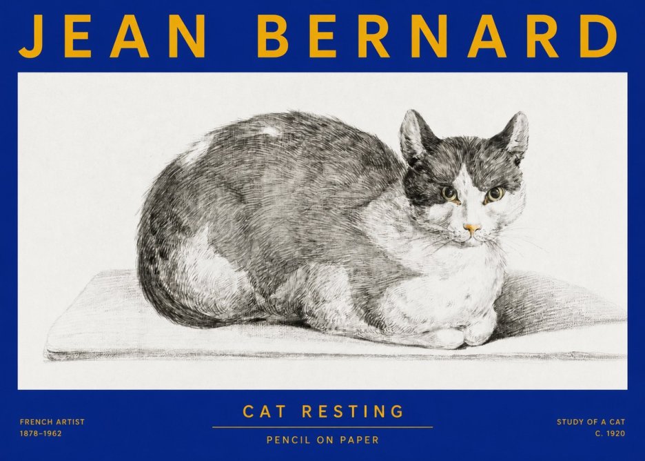 Jean Bernard Cat Study XI No4 - Plakat