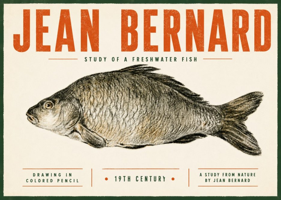 Jean Bernard Study of a Freshwater Fish No5 - Plakat