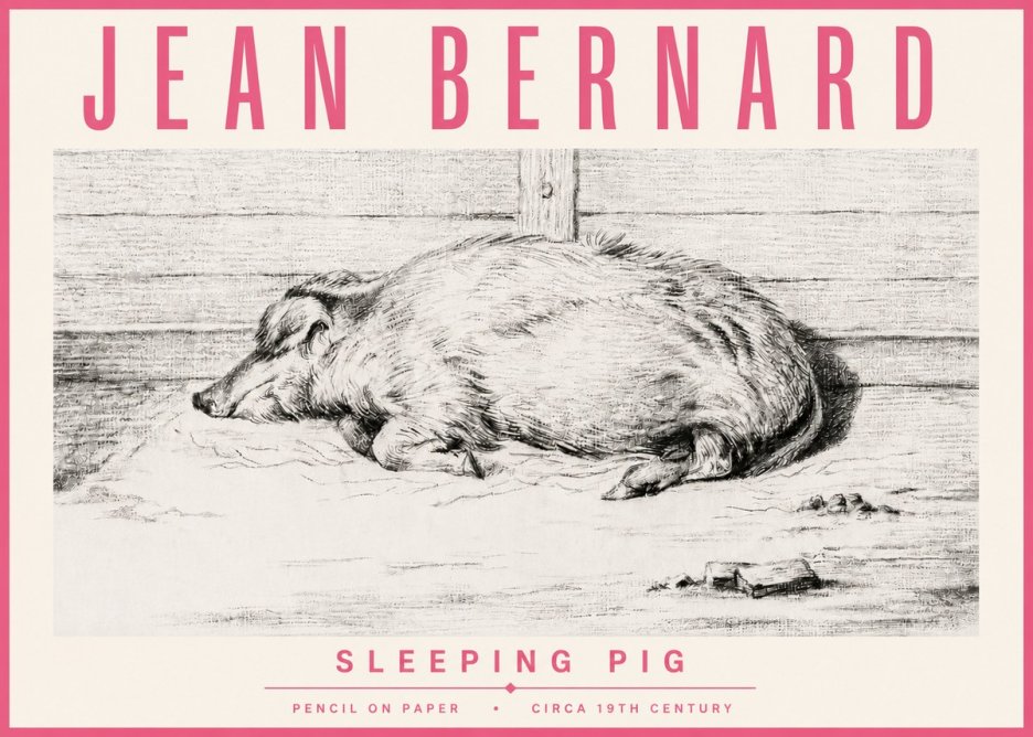 Jean Bernard Sleeping Pig I No4 - Plakat