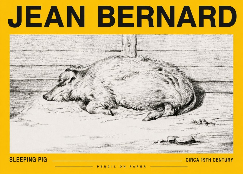 Jean Bernard Sleeping Pig I No5 - Plakat