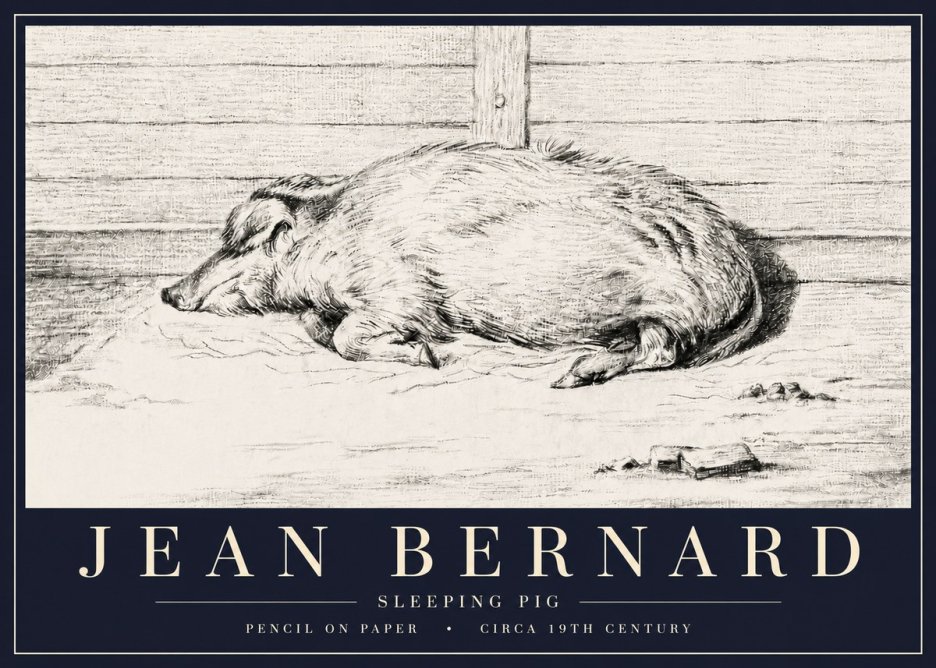 Jean Bernard Sleeping Pig I No6 - Plakat