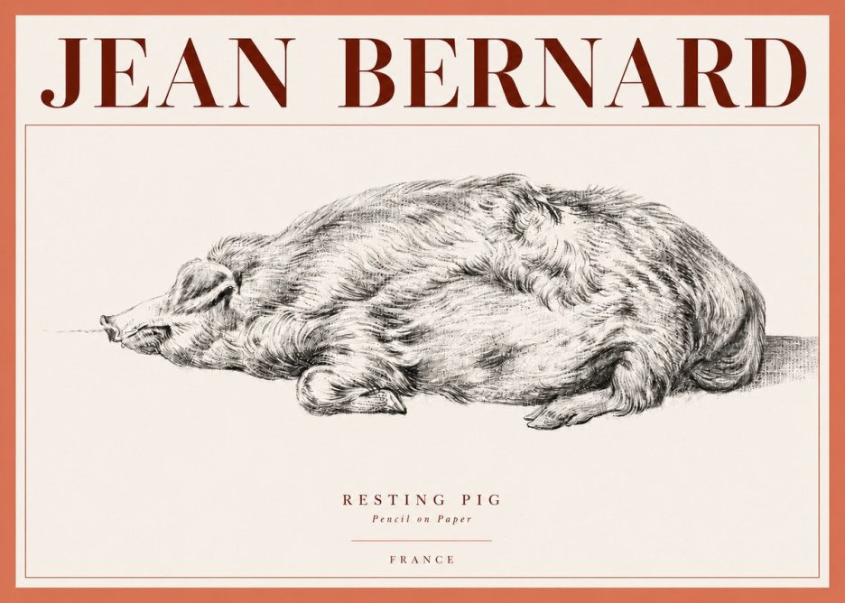 Jean Bernard Resting Pig II No4 - Plakat