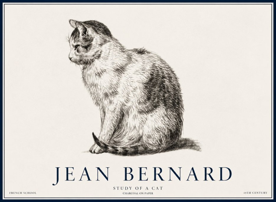 Jean Bernard Study of a Cat IV No5 - Plakat
