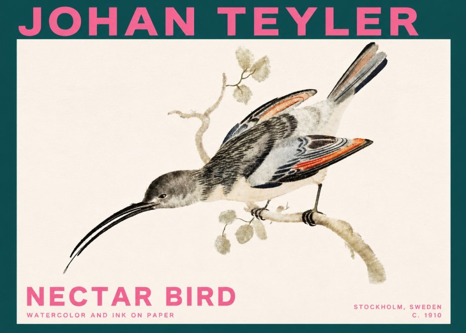 Johan Teyler Nectar Bird No3 - Plakat