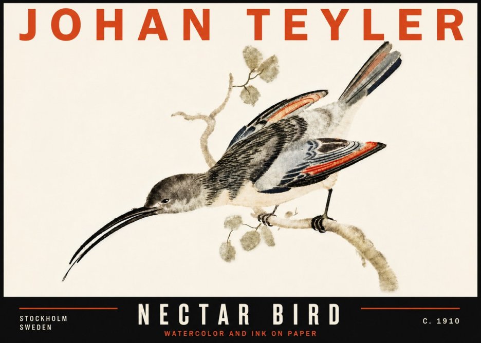 Johan Teyler Nectar Bird No6 - Plakat