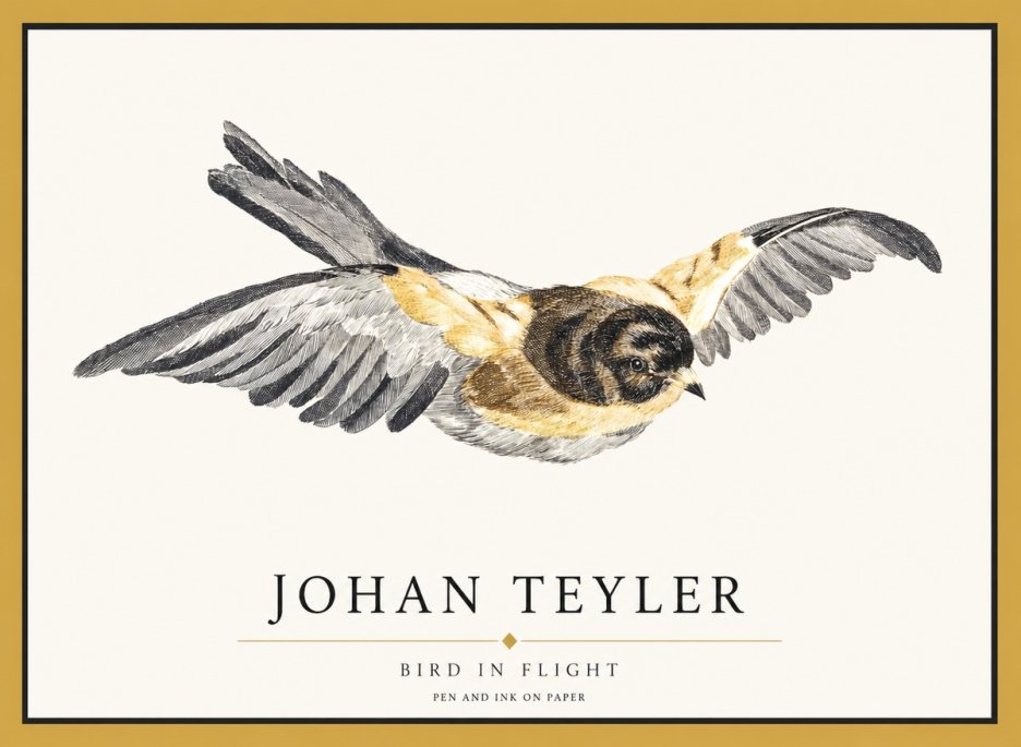 Johan Teyler Bird in Flight I No1 - Plakat
