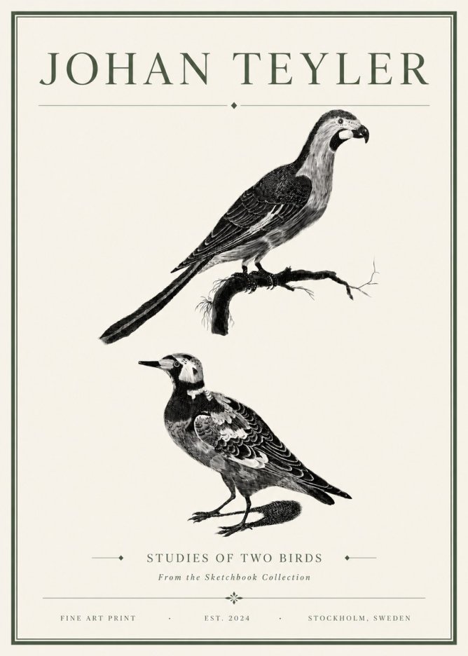 Johan Teyler Birds - Study of Two Species No6 - Plakat