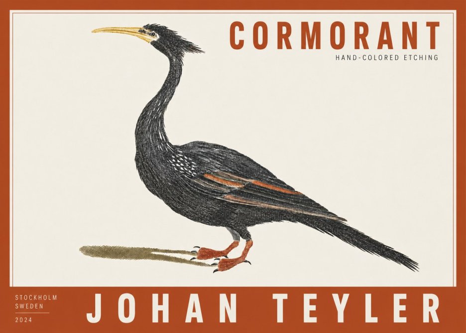 Johan Teyler Cormorant No2 - Plakat