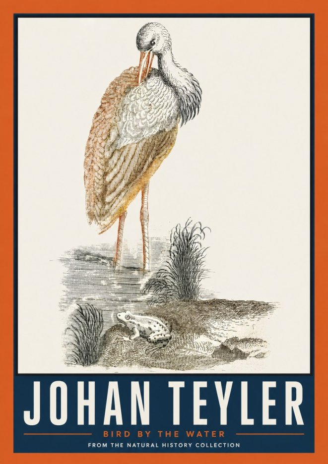 Johan Teyler Bird by the Water No2 - Plakat