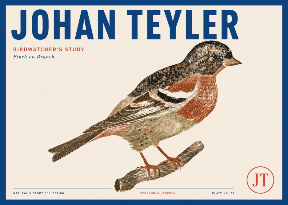 Johan Teyler Finch on Branch No3 - Plakat