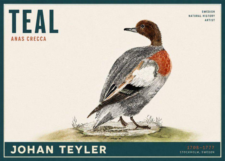 Johan Teyler Teal No2 - Plakat