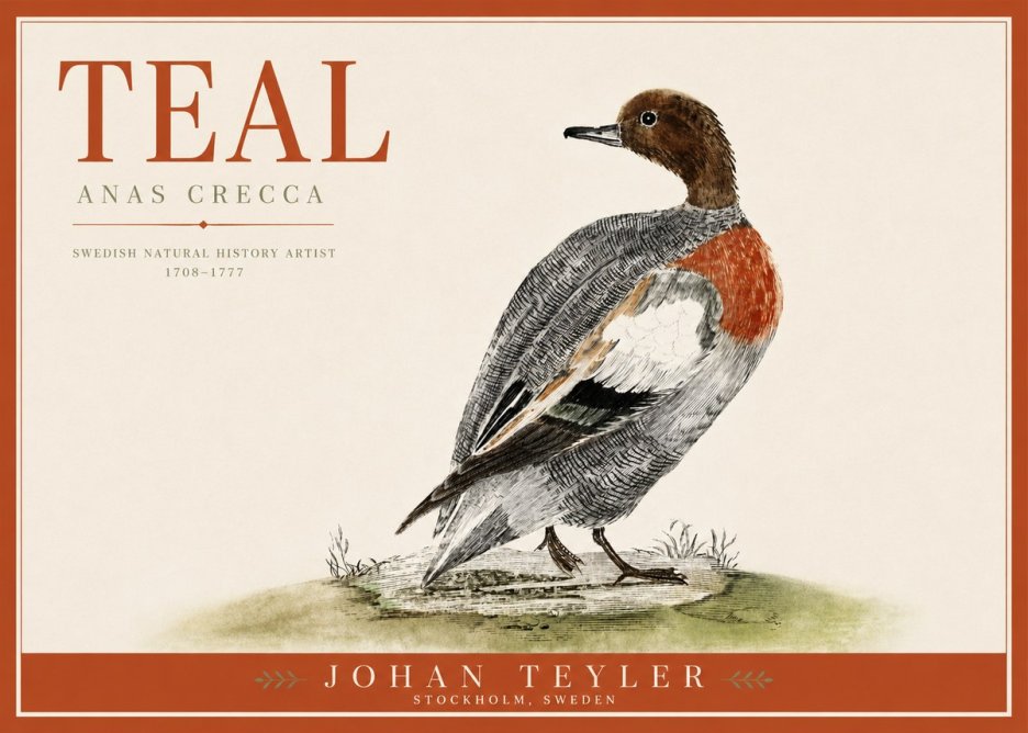 Johan Teyler Teal No3 - Plakat